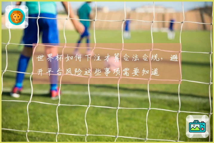 世界杯如何下注才算合法合规，避开平台风险这些事项需要知道