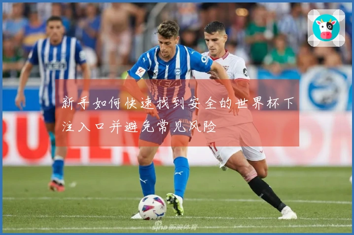 新手如何快速找到安全的世界杯下注入口并避免常见风险