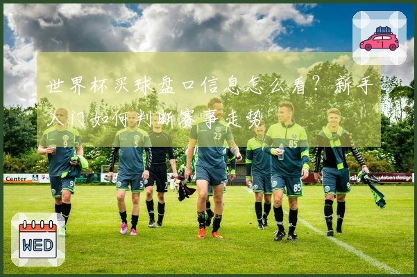 世界杯买球盘口信息怎么看？新手入门如何判断赛事走势